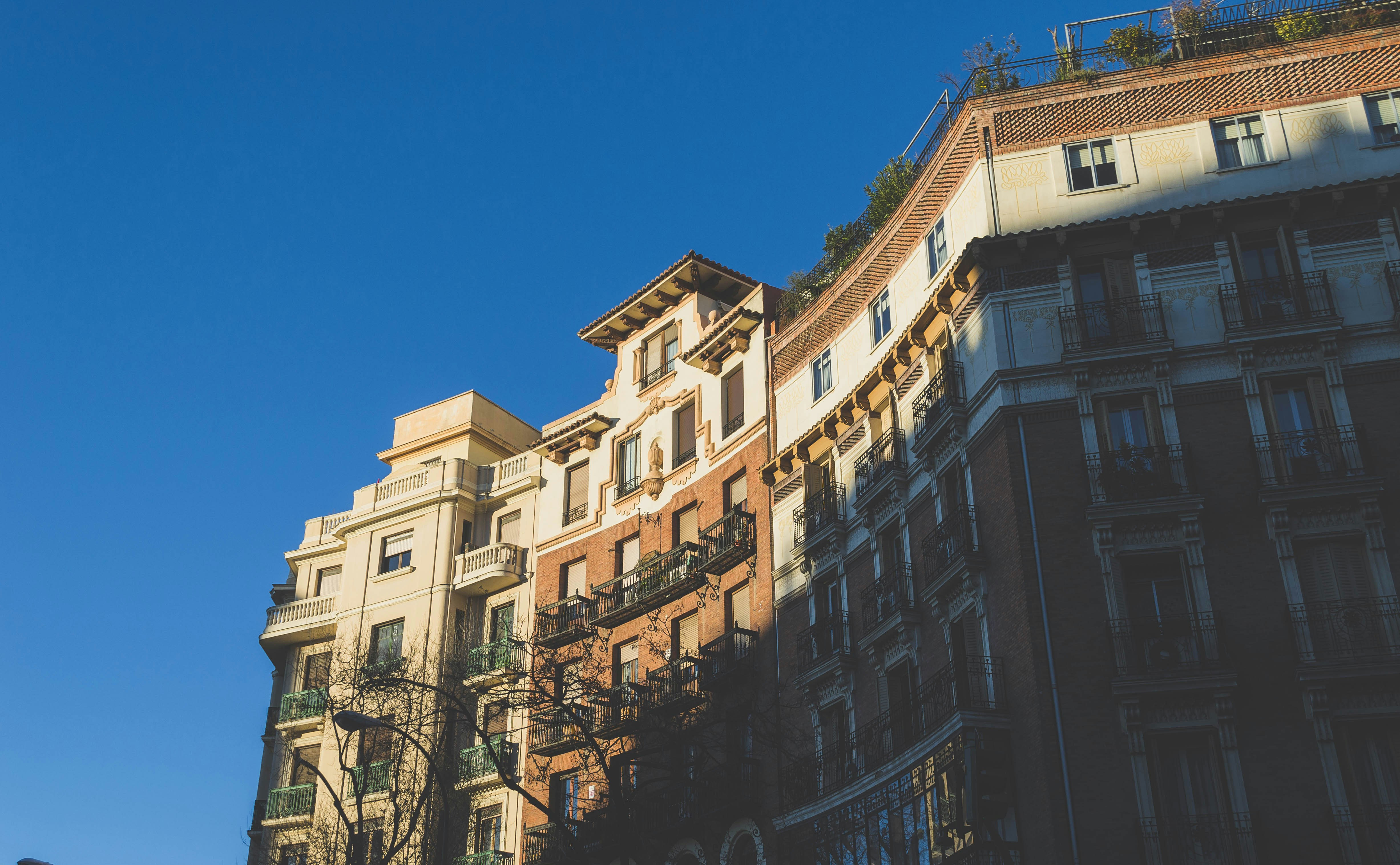 Free Unsplash photo from Jorge Mallo