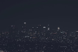 Night view of illuminated city skyline