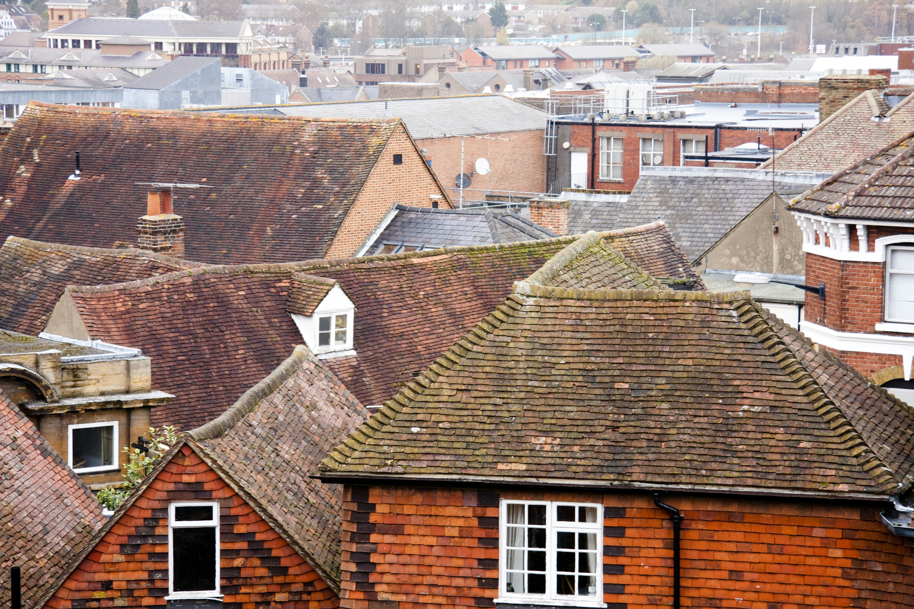 Free Unsplash photo from Despo Potamou