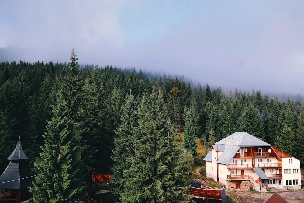 Casa bianca e marrone vicino alla foresta con alberi verdi