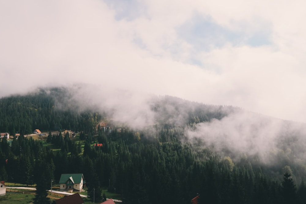 mountains covered with trees with fogs under cloudy skies