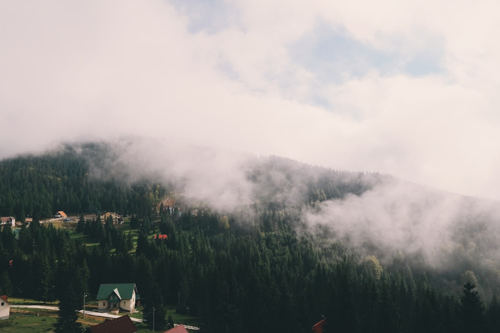 montagnes couvertes d’arbres avec des brouillards sous un ciel nuageux