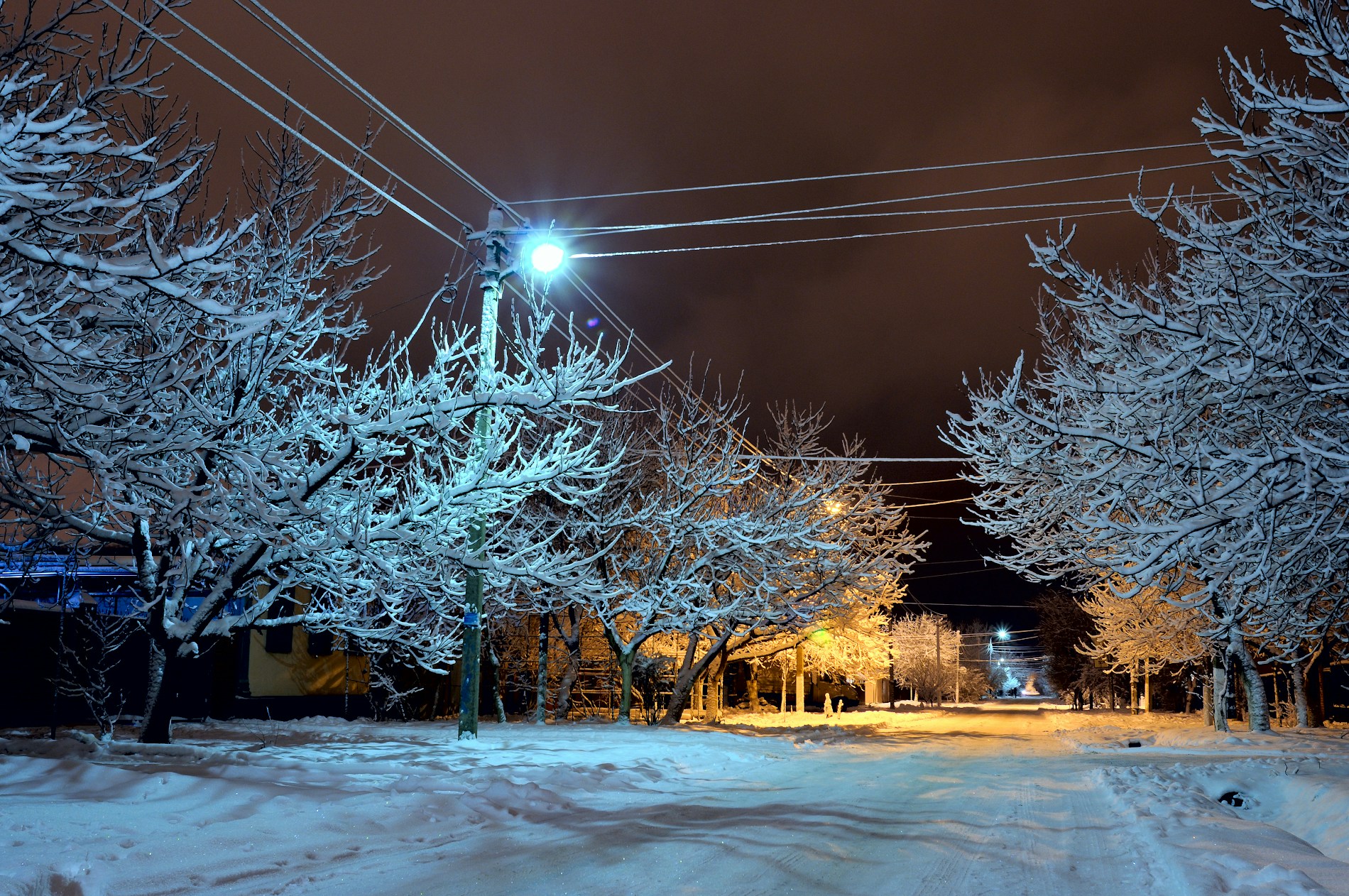 Free Unsplash photo from Sergey Bakhvalov