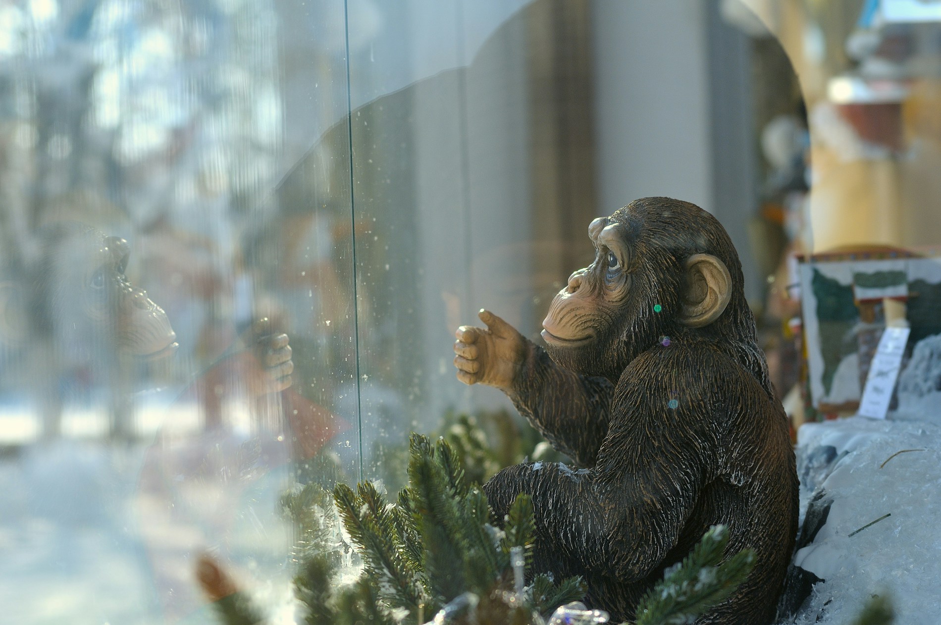 Free Unsplash photo from Sergey Bakhvalov