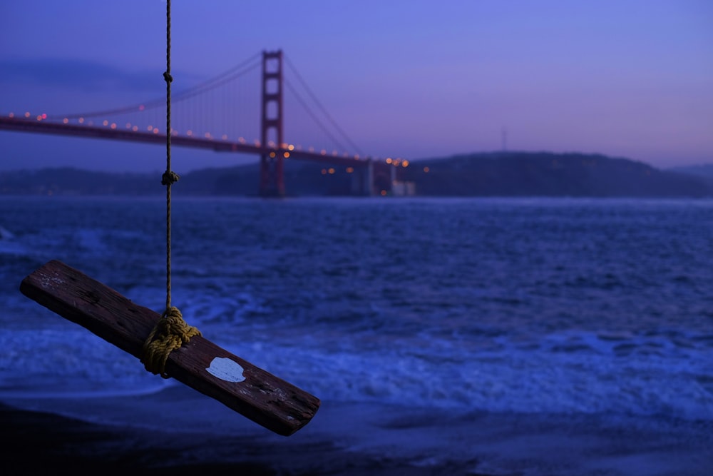 brown wood plank tied by rope hangs near tree overview bridge