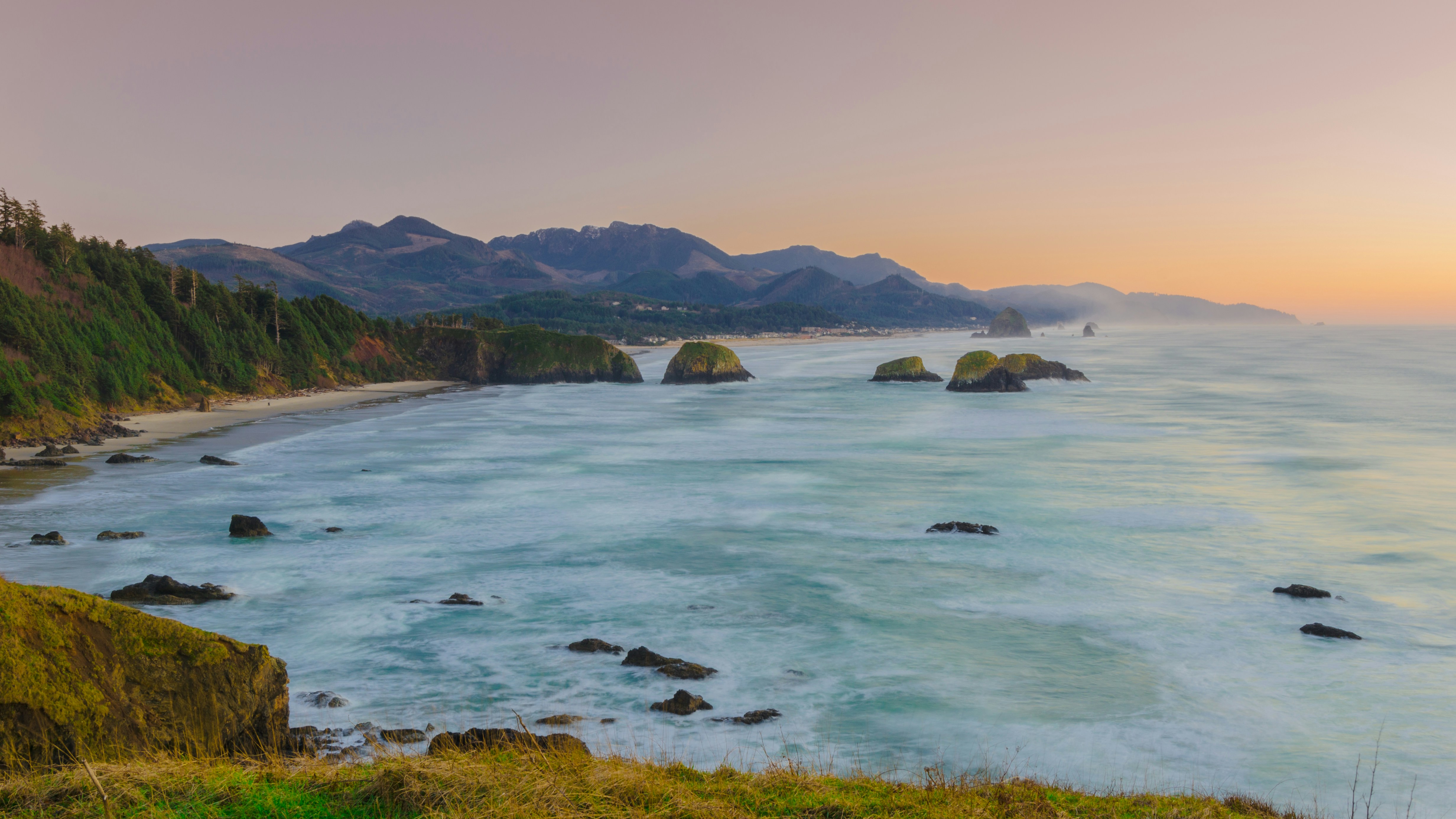 green grass in front of calm body of water during golden hour, Shoreline at sunset