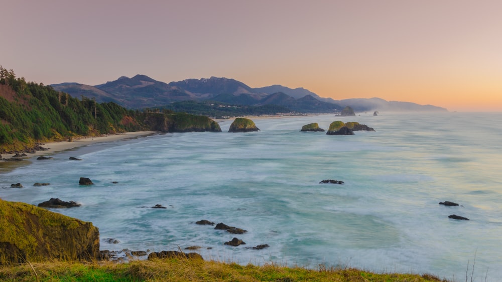 green grass in front of calm body of water during golden hour