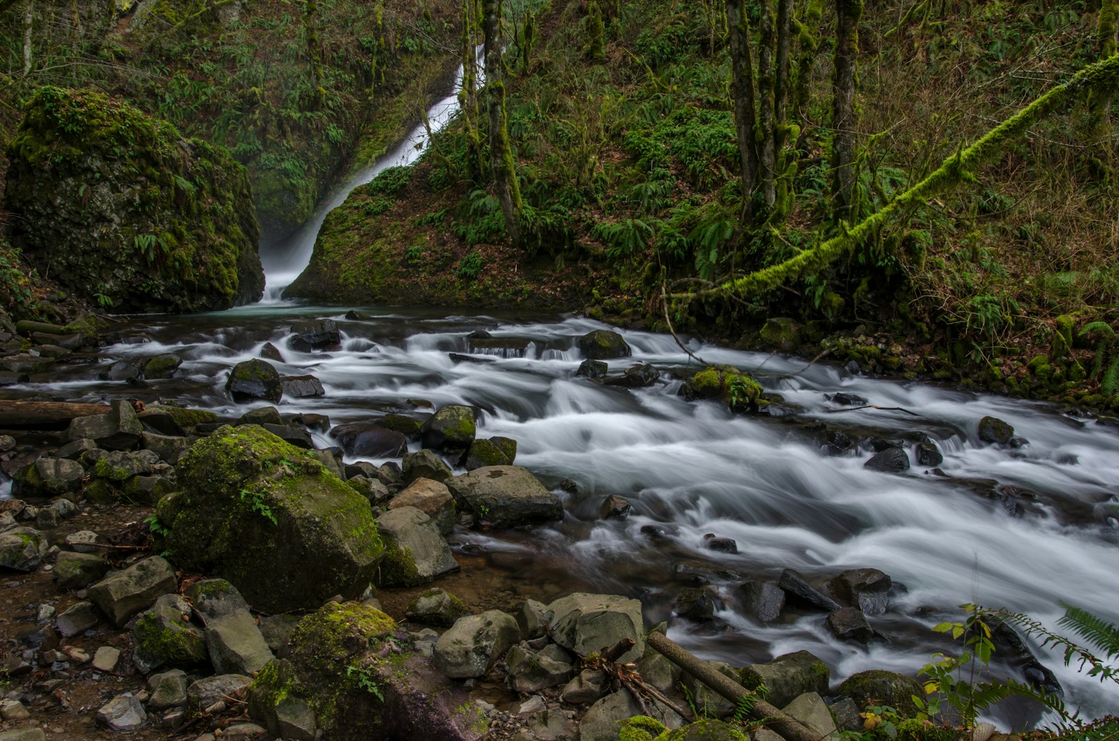 Nikon D7000 + Sigma 18-35mm F1.8 DC HSM Art sample photo. River between trees during photography