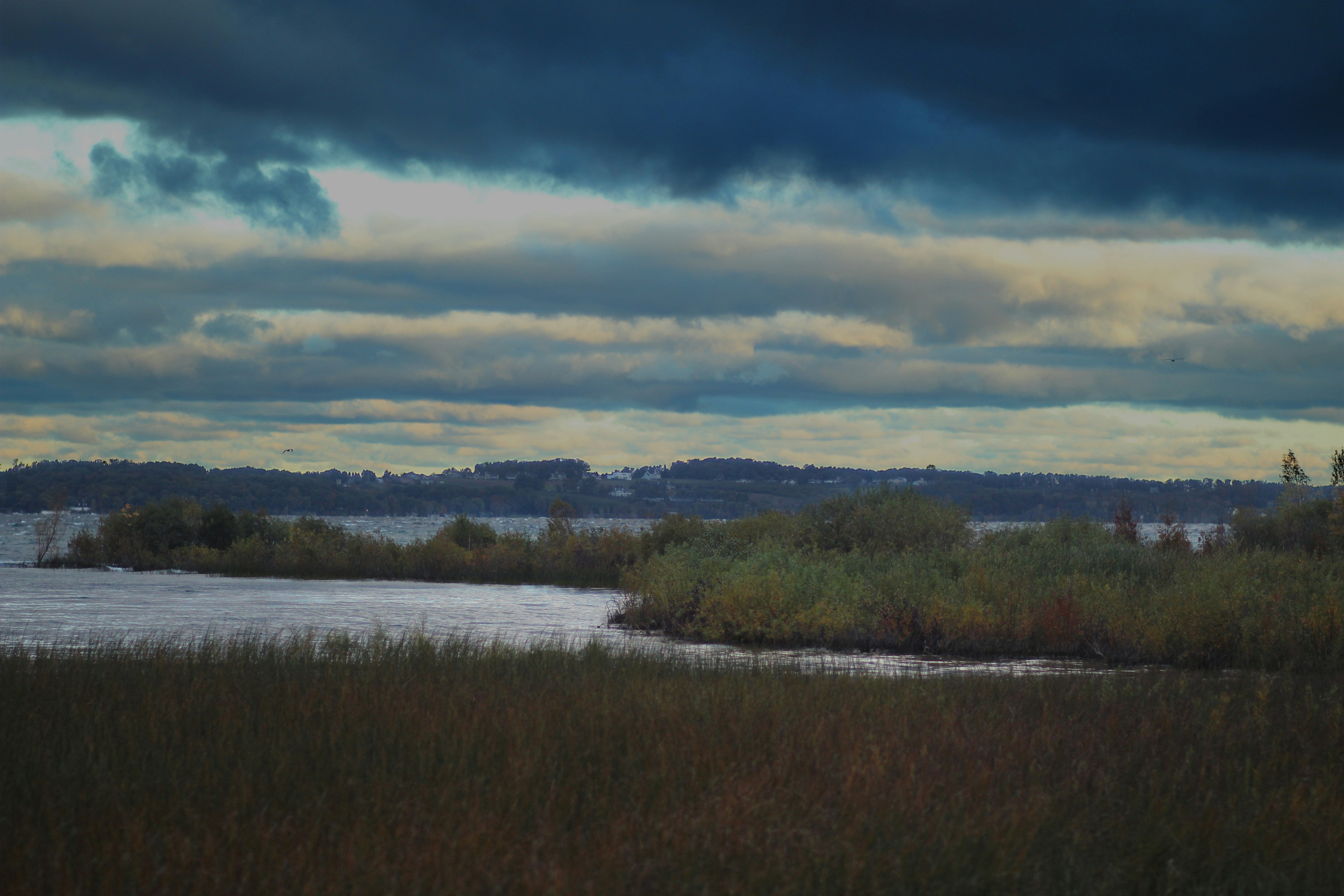 Photo By Nicole Harrington