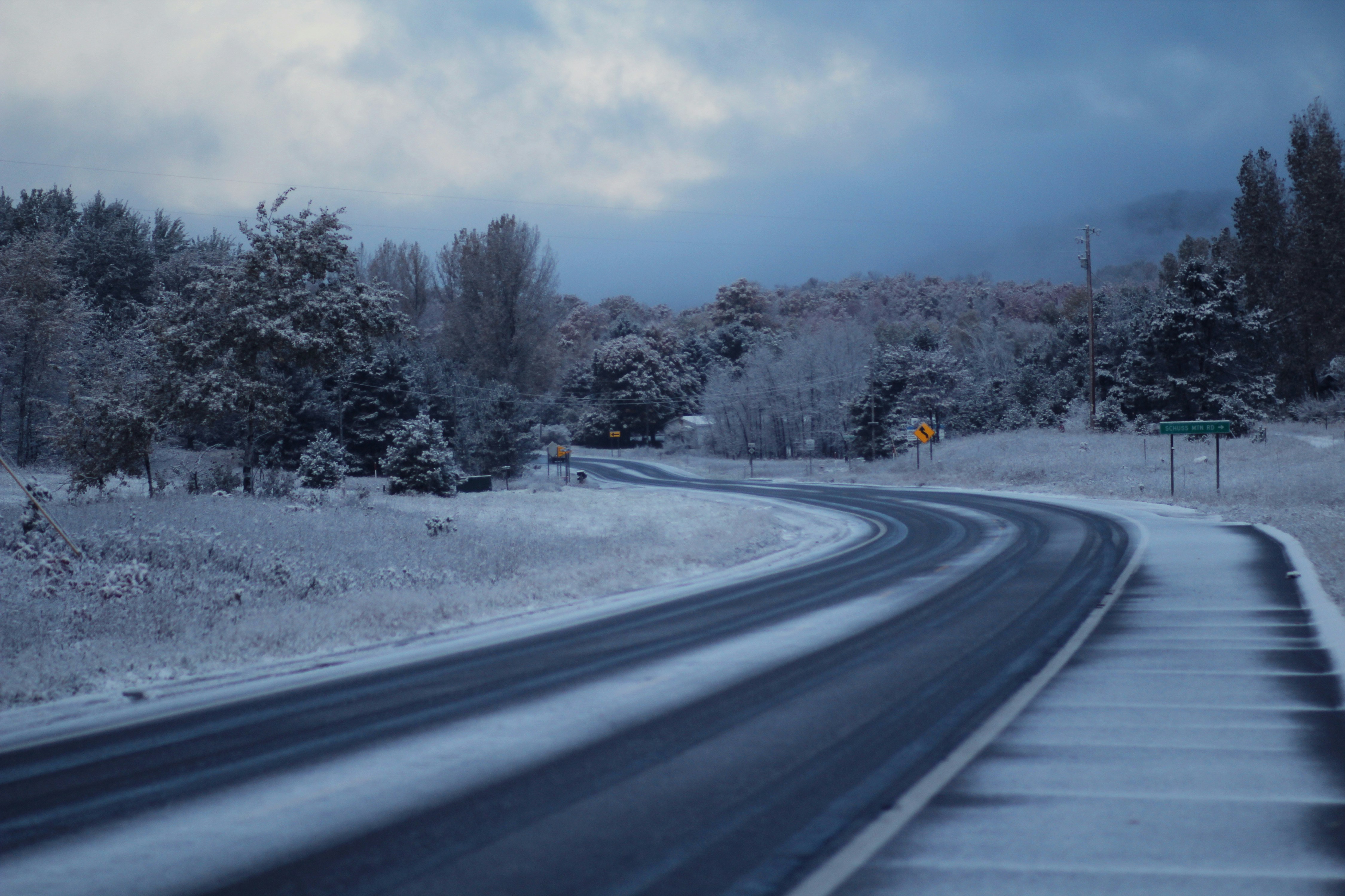 Photo By Nicole Harrington