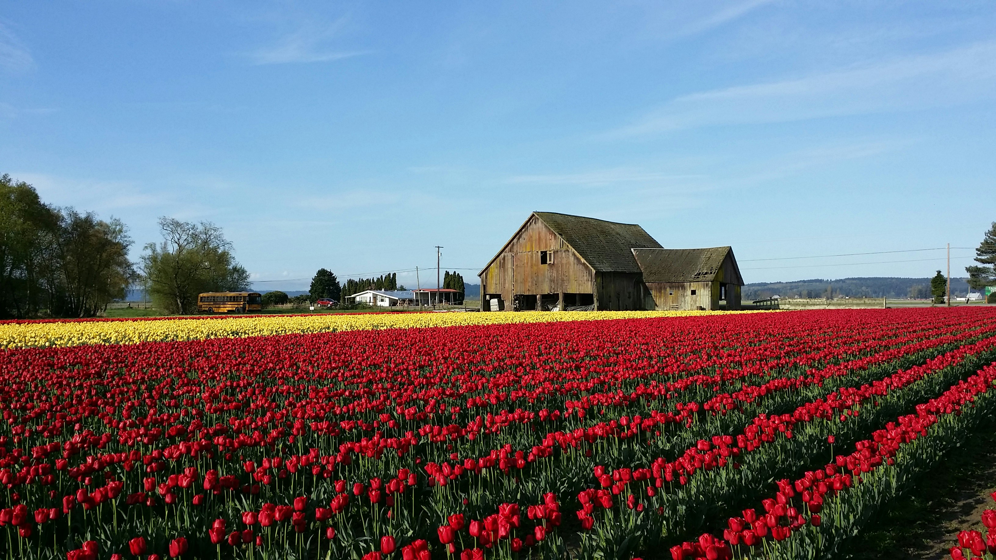 Free Unsplash photo from Aseem Ghadiali