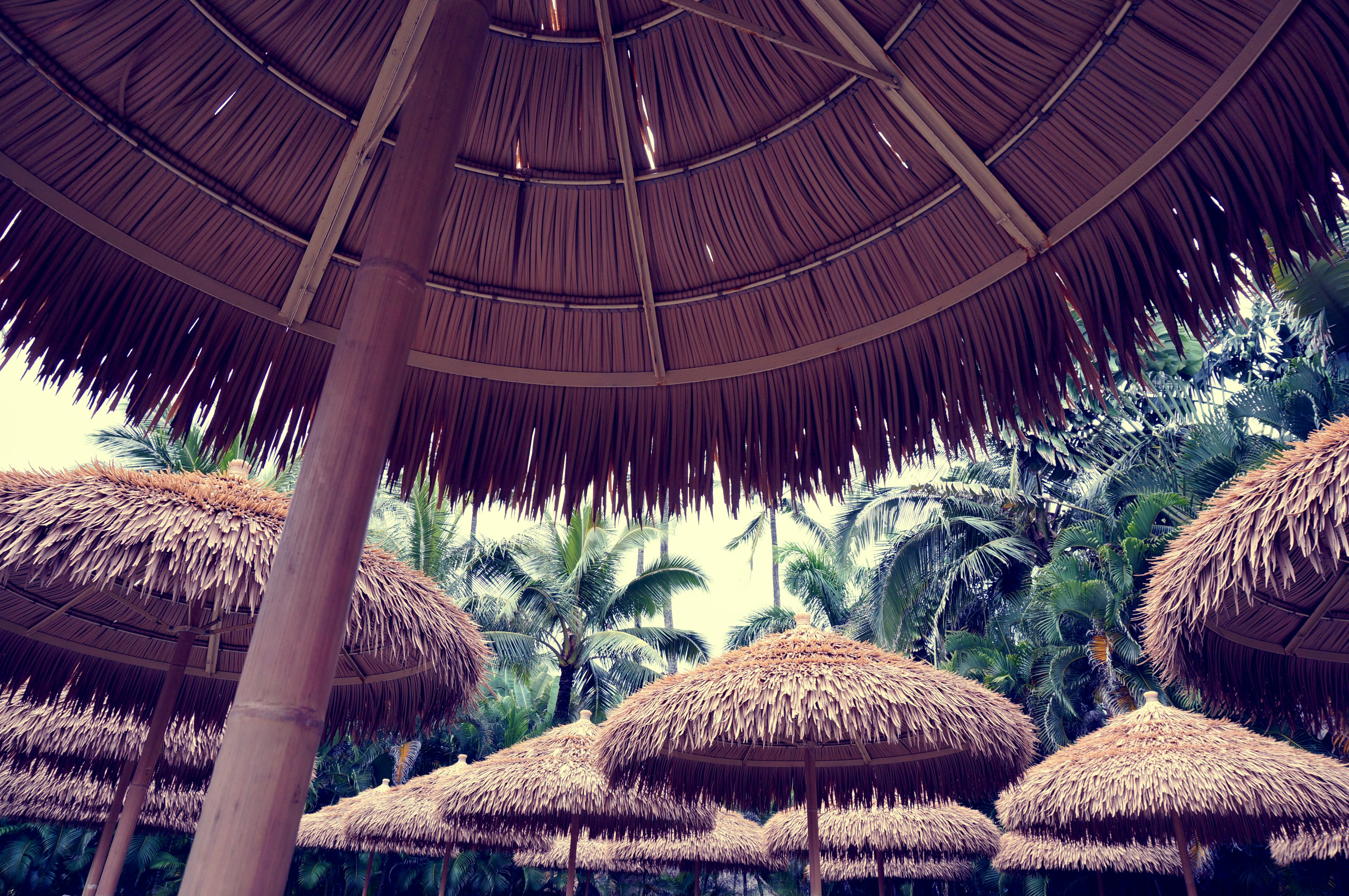 Free Unsplash photo from Fujika Nakama