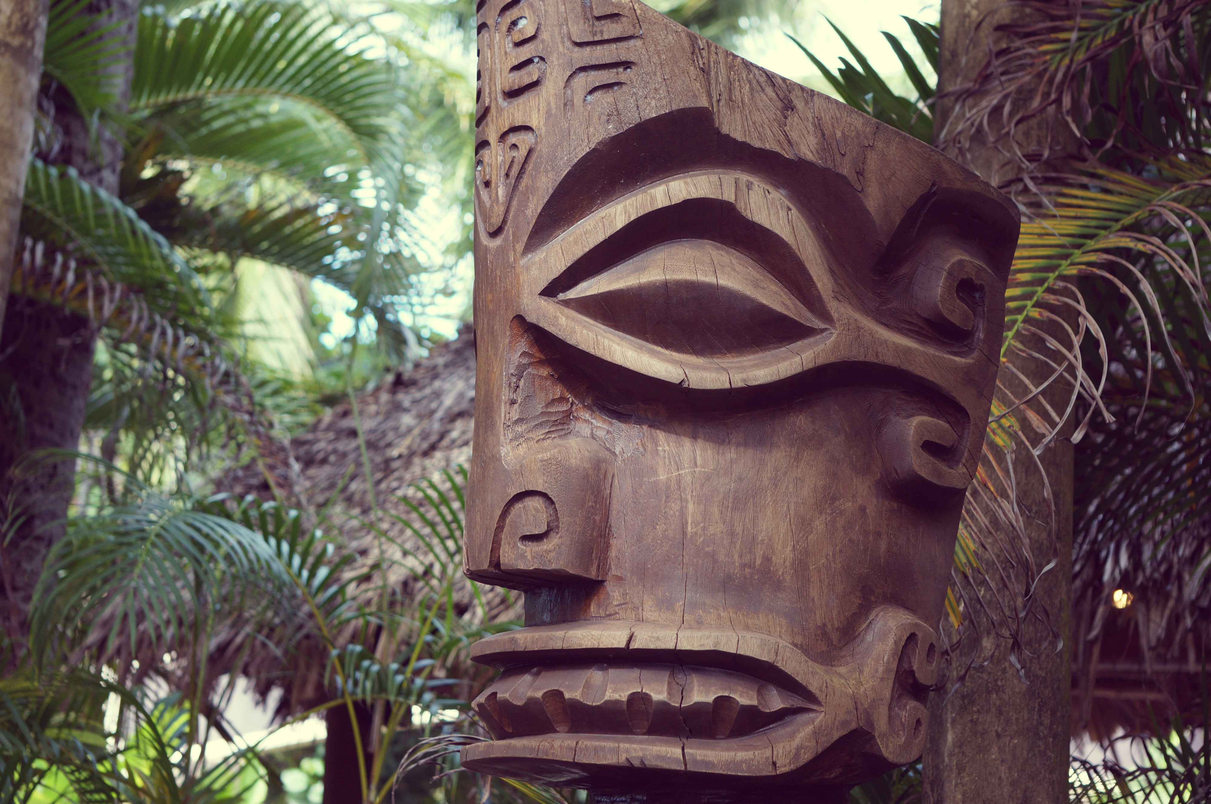 Free Unsplash photo from Fujika Nakama