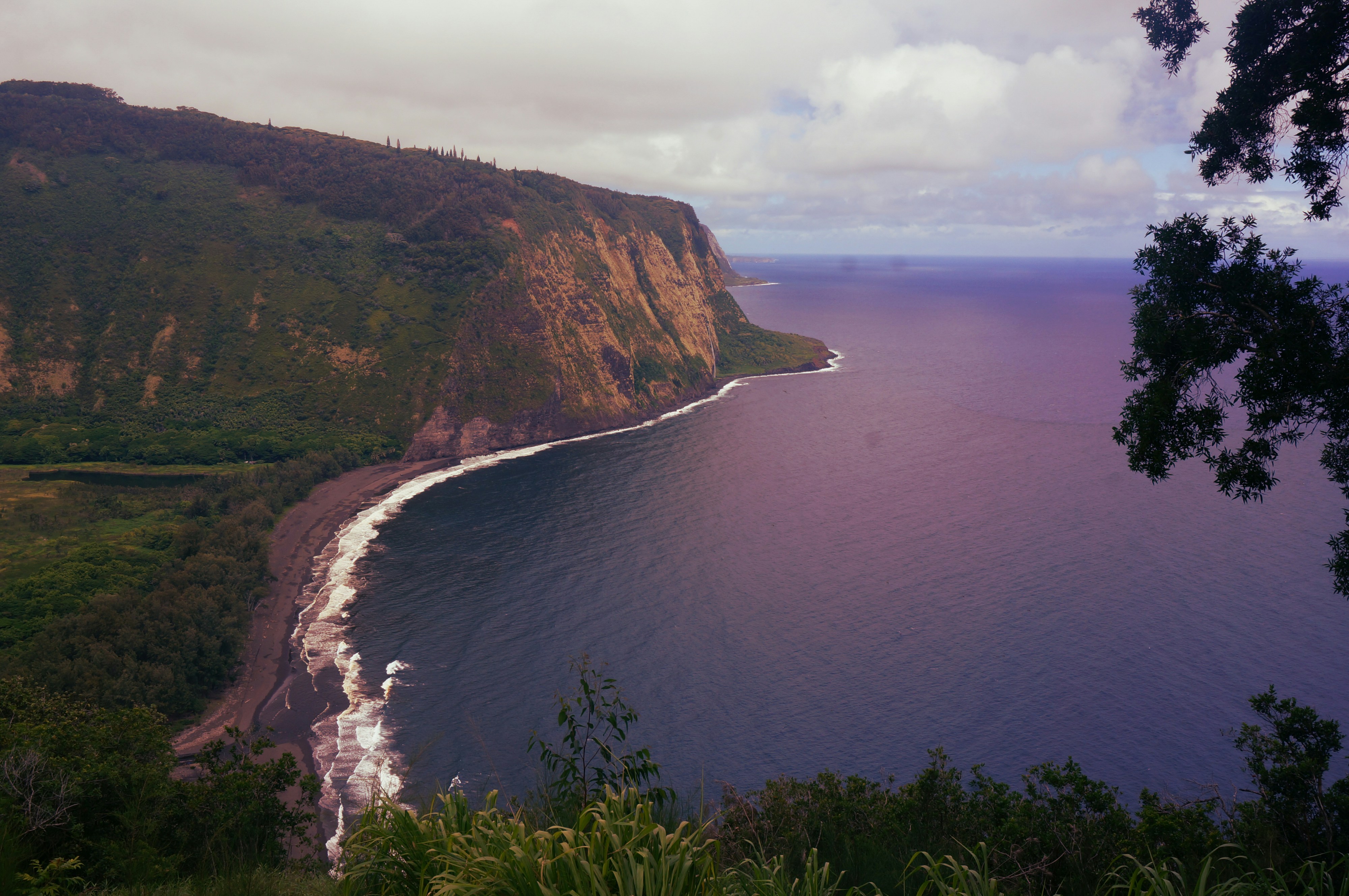 Free Unsplash photo from Fujika Nakama