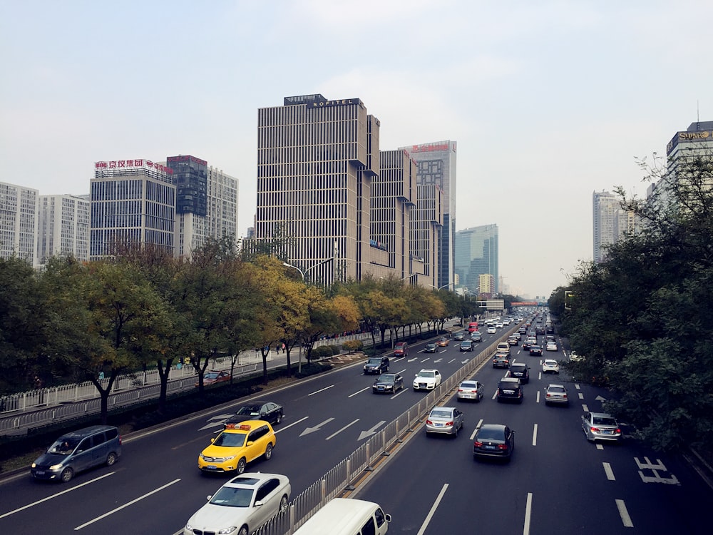 cars on road beside green leaf trees during daytime