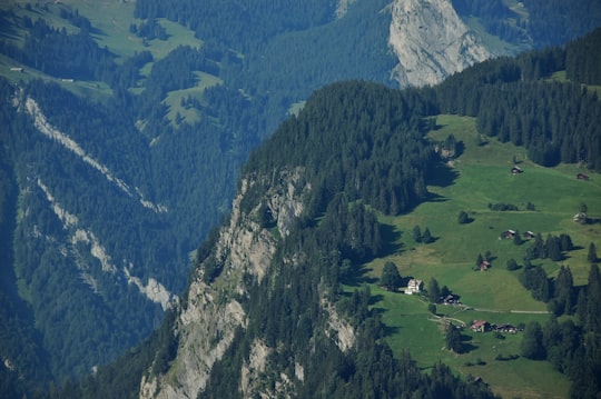 aerial view of mountain cliff during daytime in Jungfrau Switzerland