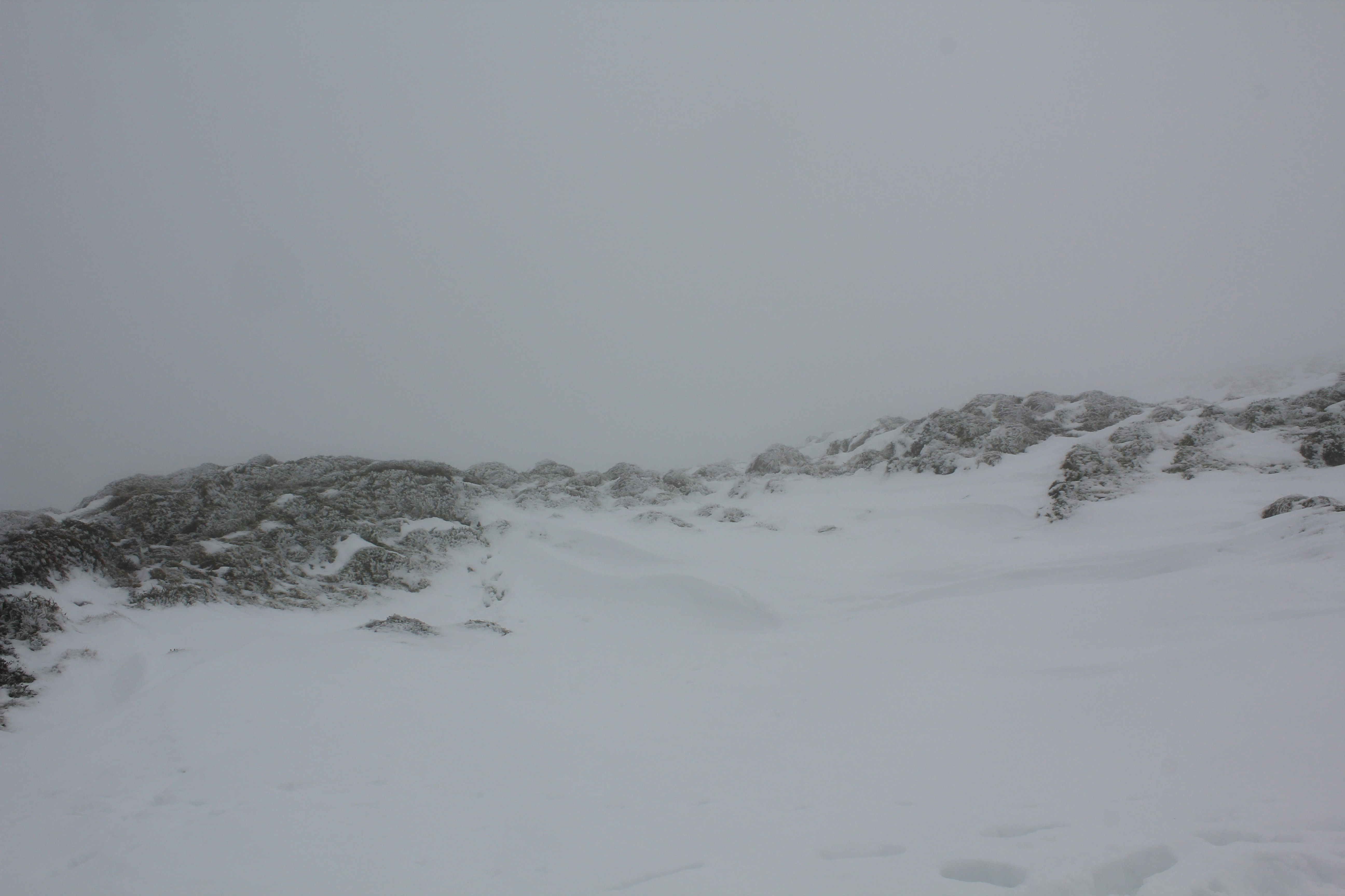 Free Unsplash photo from Ben Shanahan