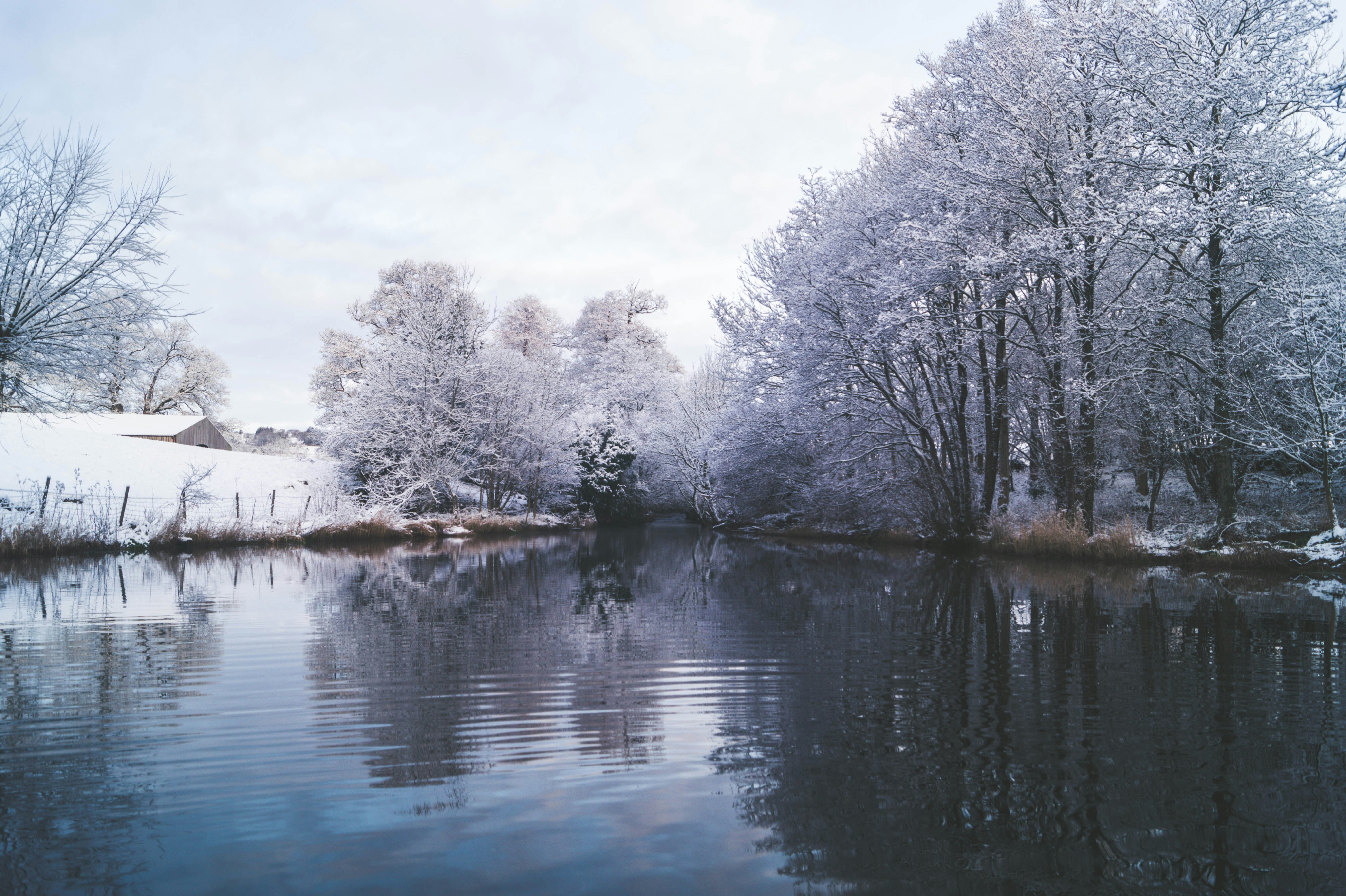 Free Unsplash photo from Matt Jones