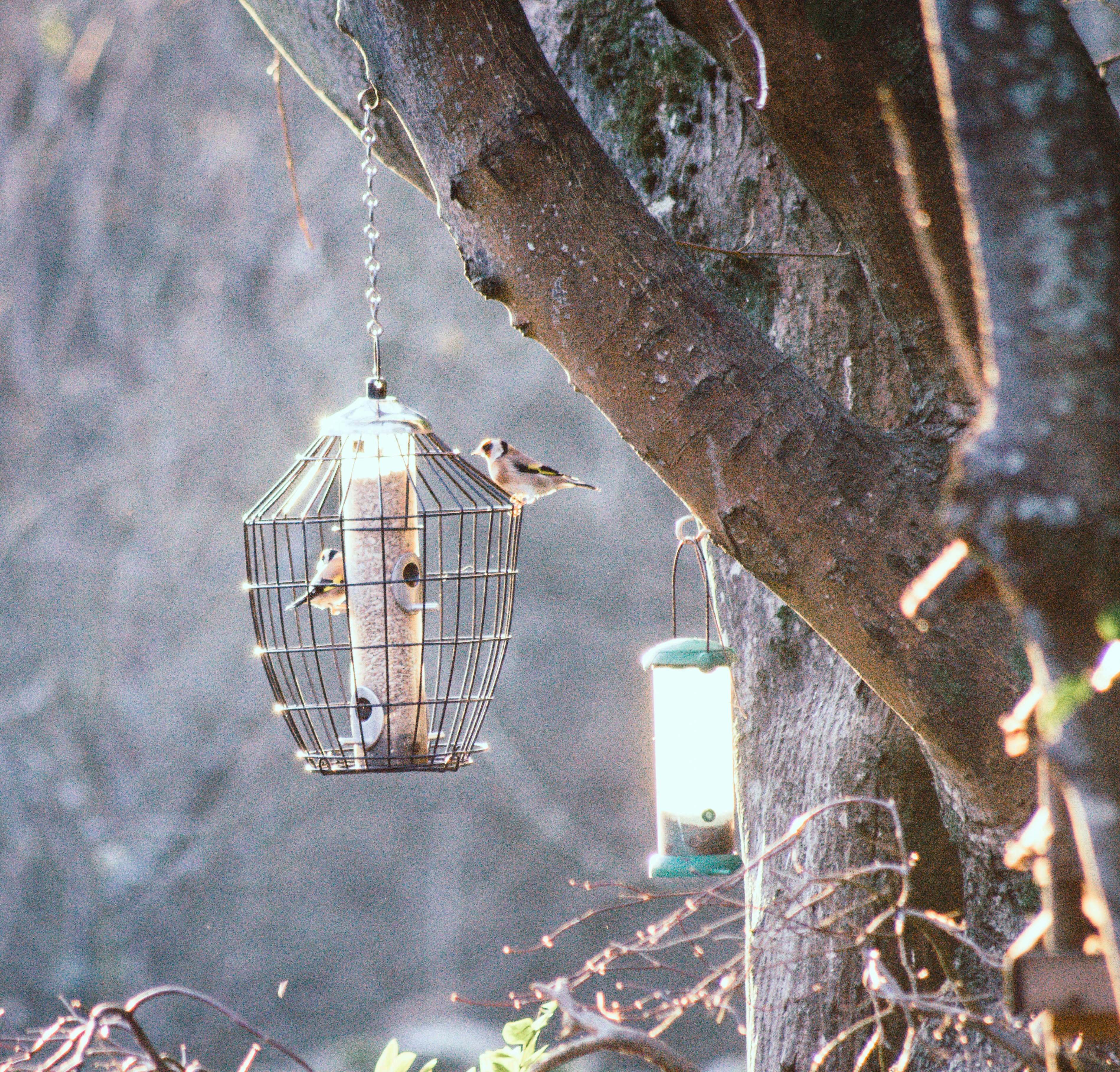 Free Unsplash photo from Matt Jones