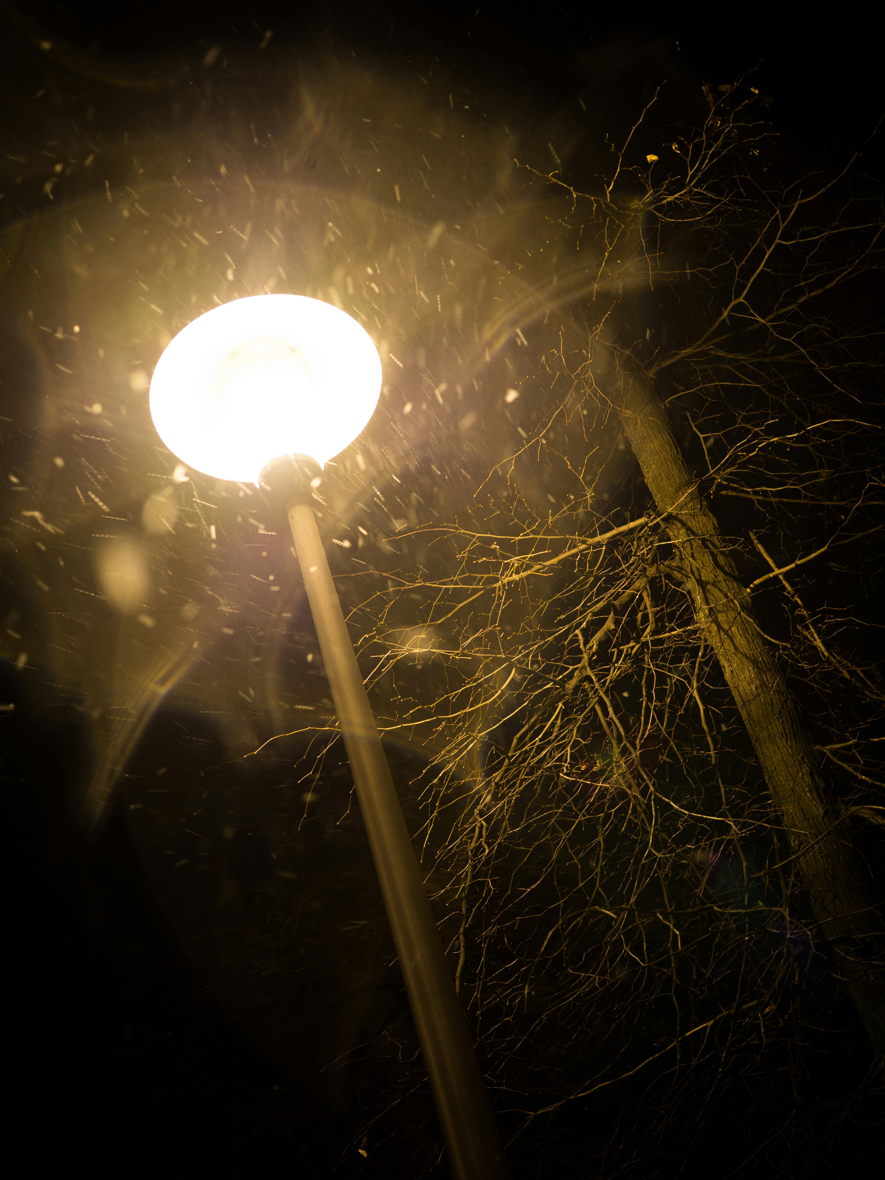 Free Unsplash photo from Vlad Semak