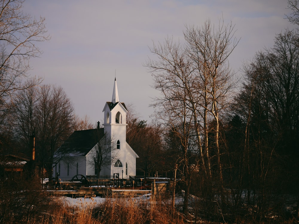 white church near trees at daytime