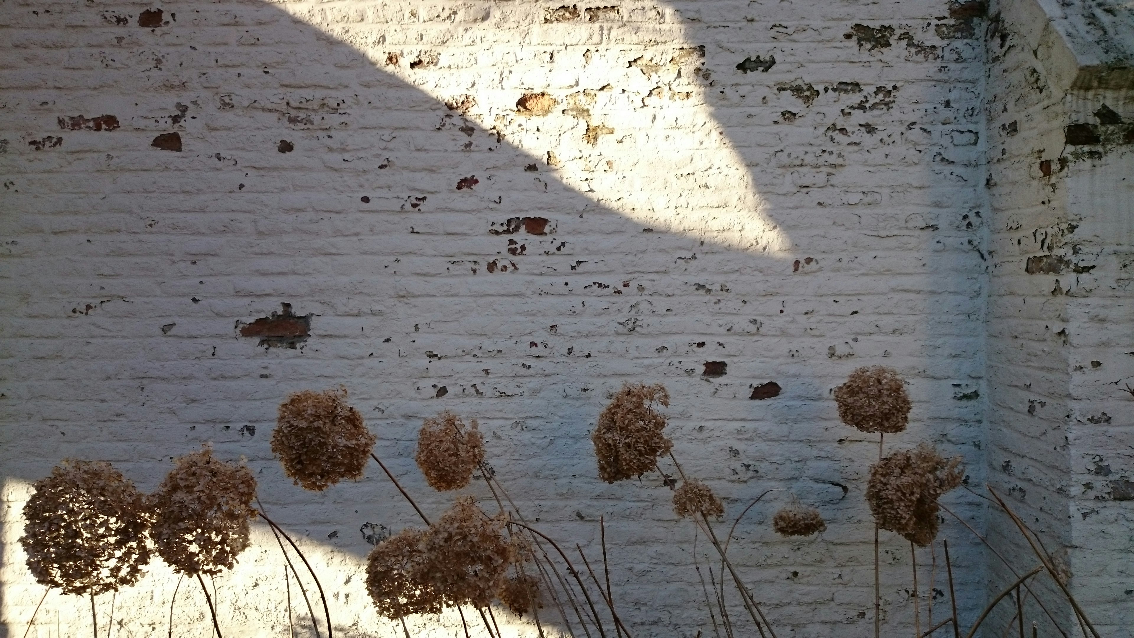 Free Unsplash photo from Claire Kennedy