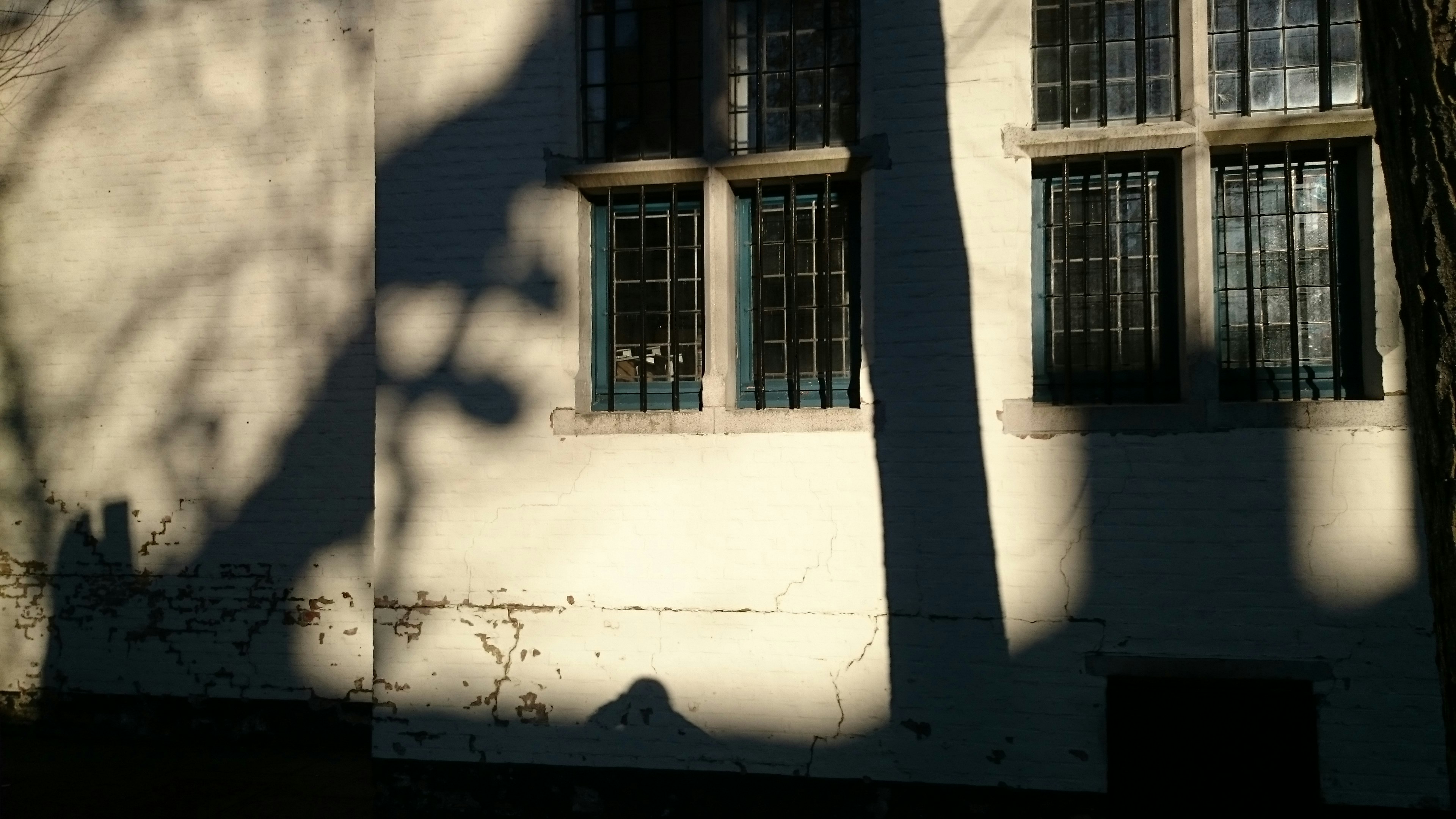 Free Unsplash photo from Claire Kennedy