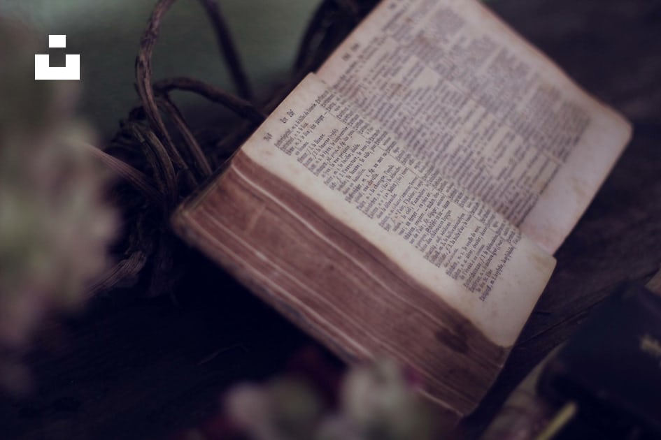 Closeup De Uma Antiga Bíblia Sagrada Aberta Ao Famoso Livro De