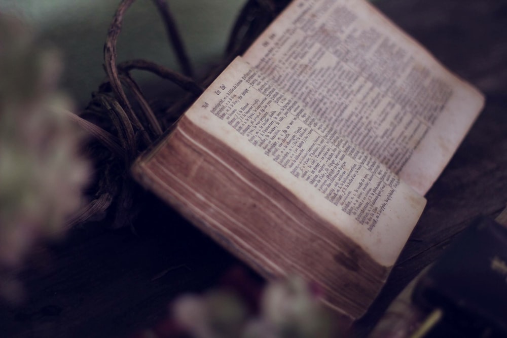 Foto de primer plano de la Biblia abierta cerca de las flores