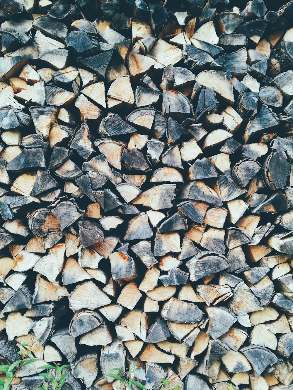 pile of cut woods