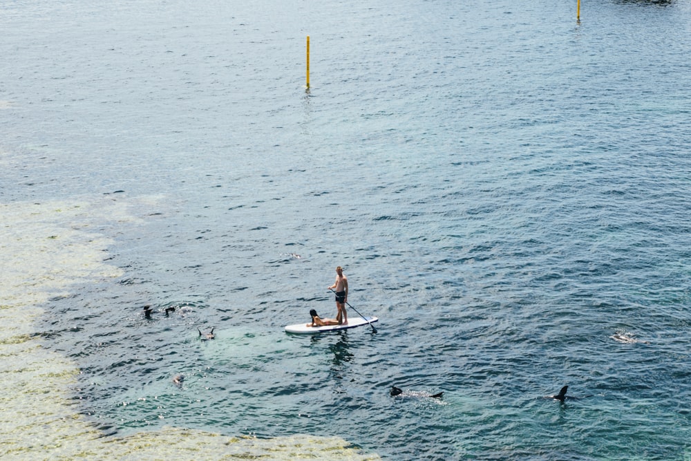 two person on white surface during daytime