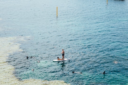 photo of Rottnest Island Stand up paddle surfing near Shoalwater WA