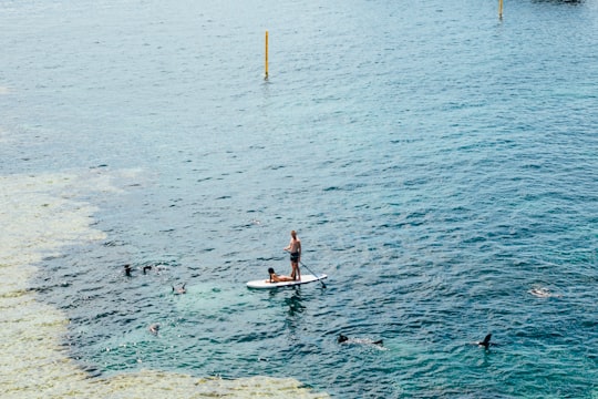 photo of Rottnest Island Stand up paddle surfing near 1 Barrack Square