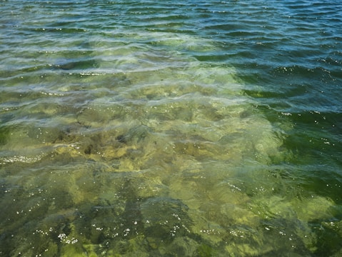 Clear water with visible rocks beneath the surface. The water appears to be rippling and has various shades of green and blue.