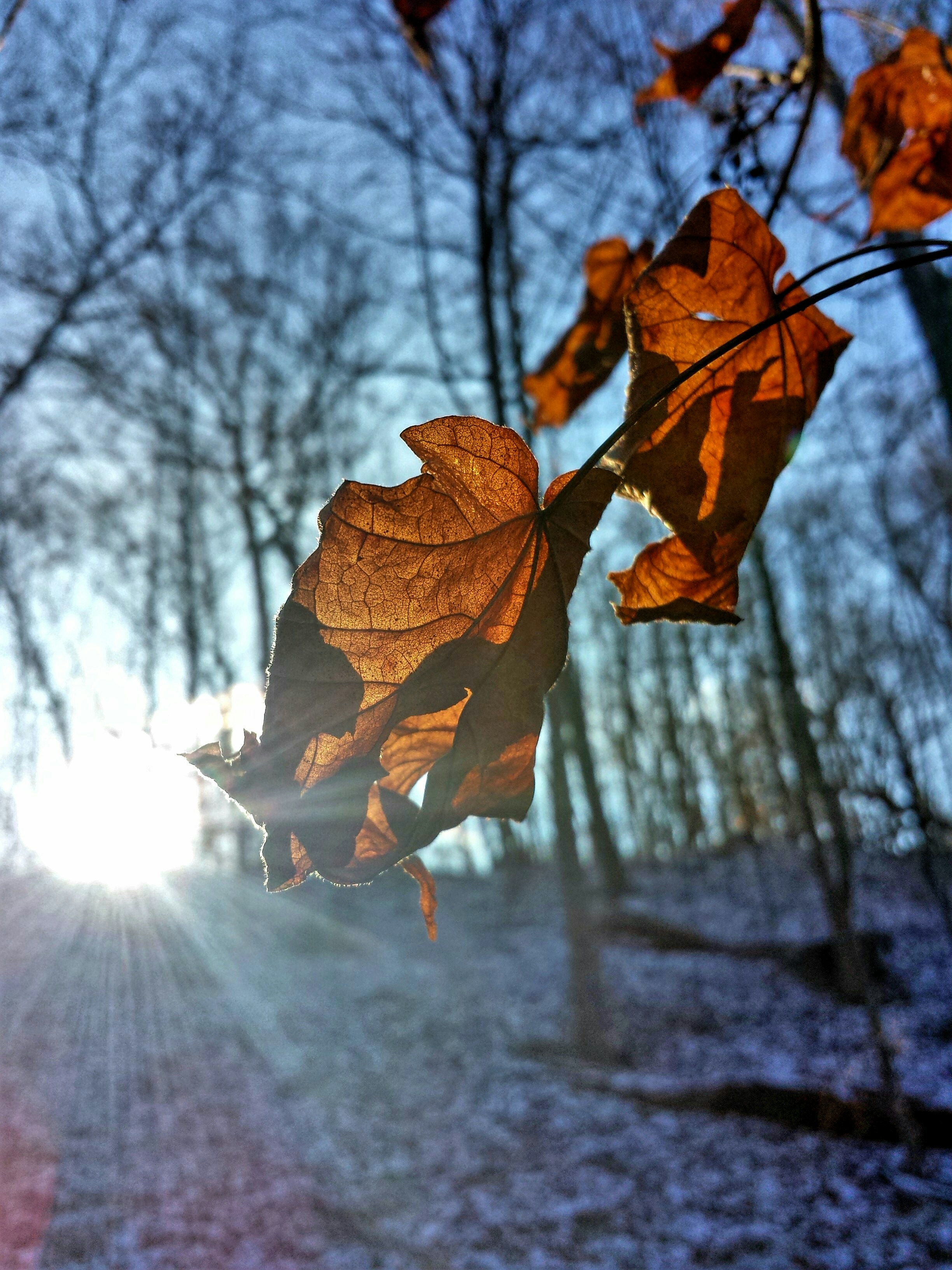 Free Unsplash photo from Dabir Bernard