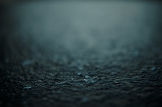 A close-up photo showing a sharp foreground with a beautifully blurred background, illustrating depth of field.