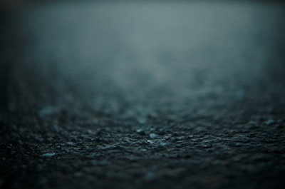 A close-up photo showing a sharp foreground with a beautifully blurred background, illustrating depth of field.