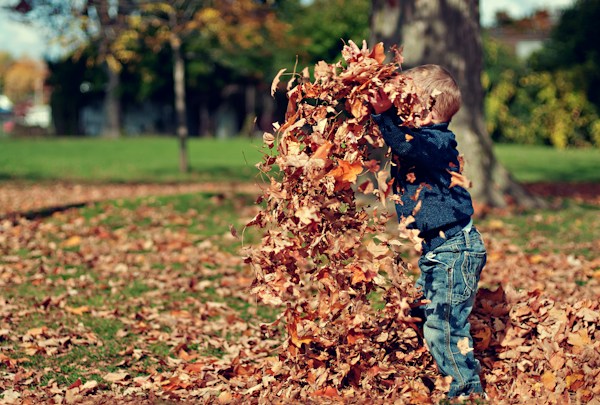 A small child throwing an armful of autumn leaves in a park