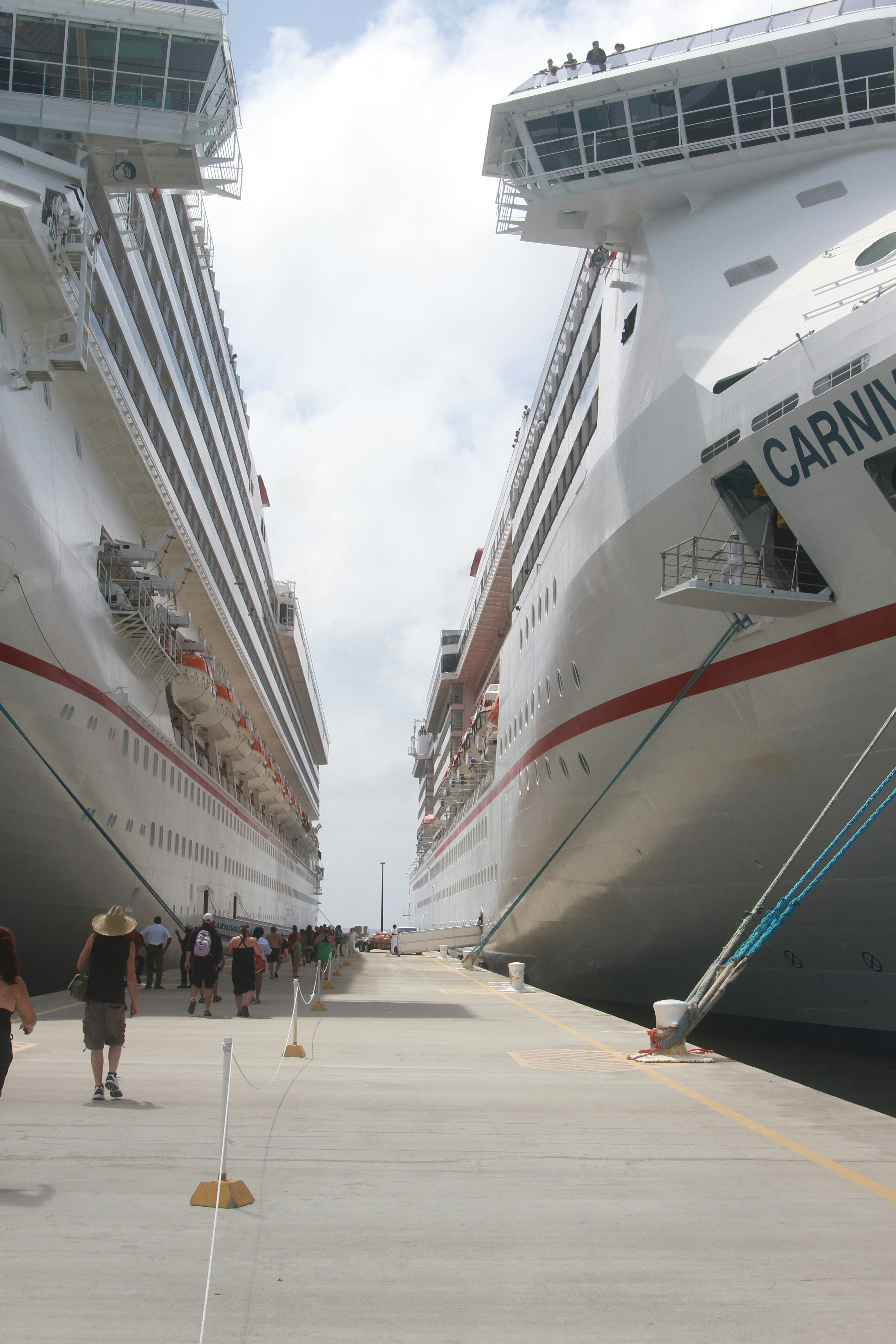 Free Unsplash photo from Steve Cantrell