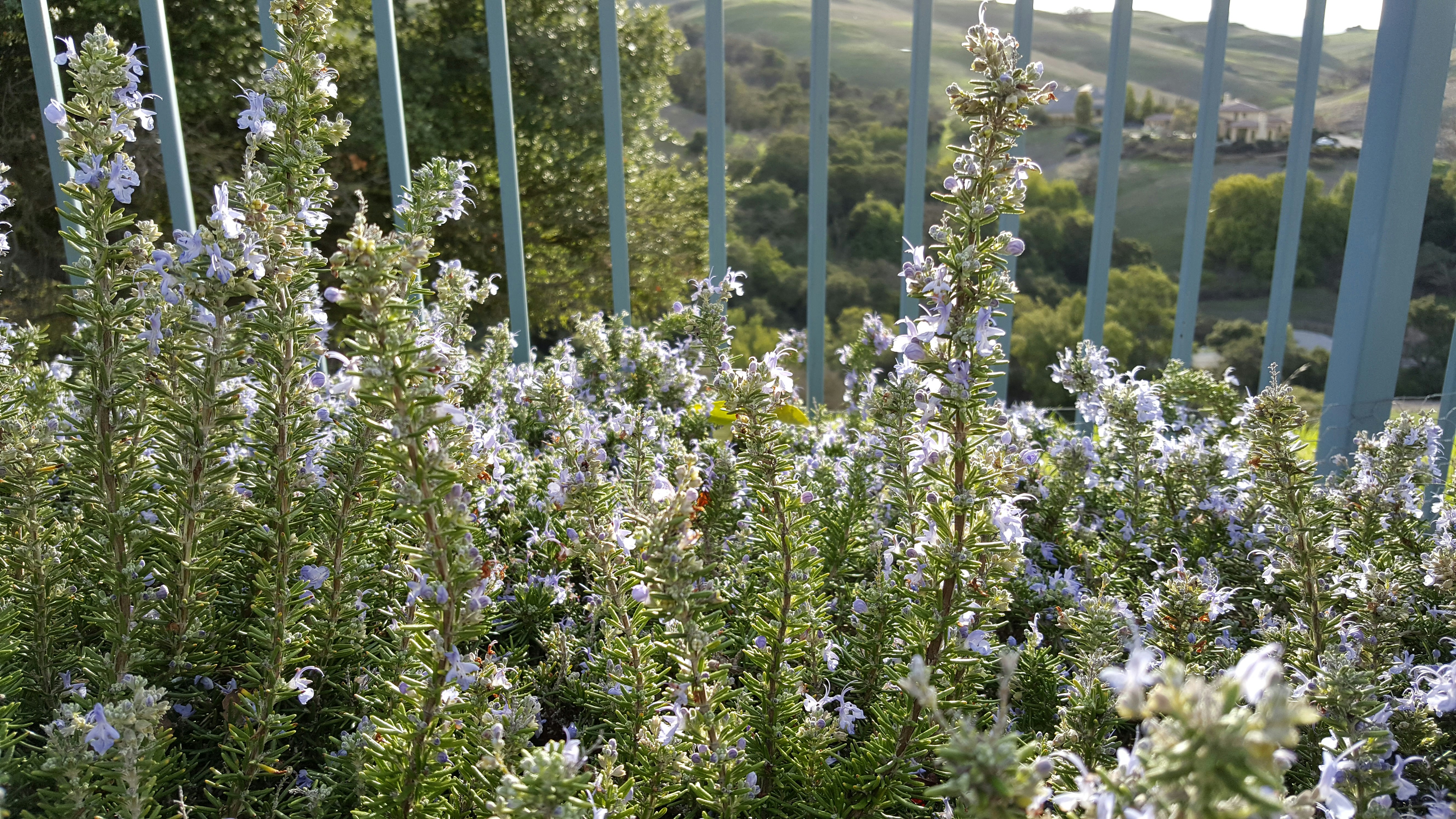 Free Unsplash photo from Umeshchandra Parab