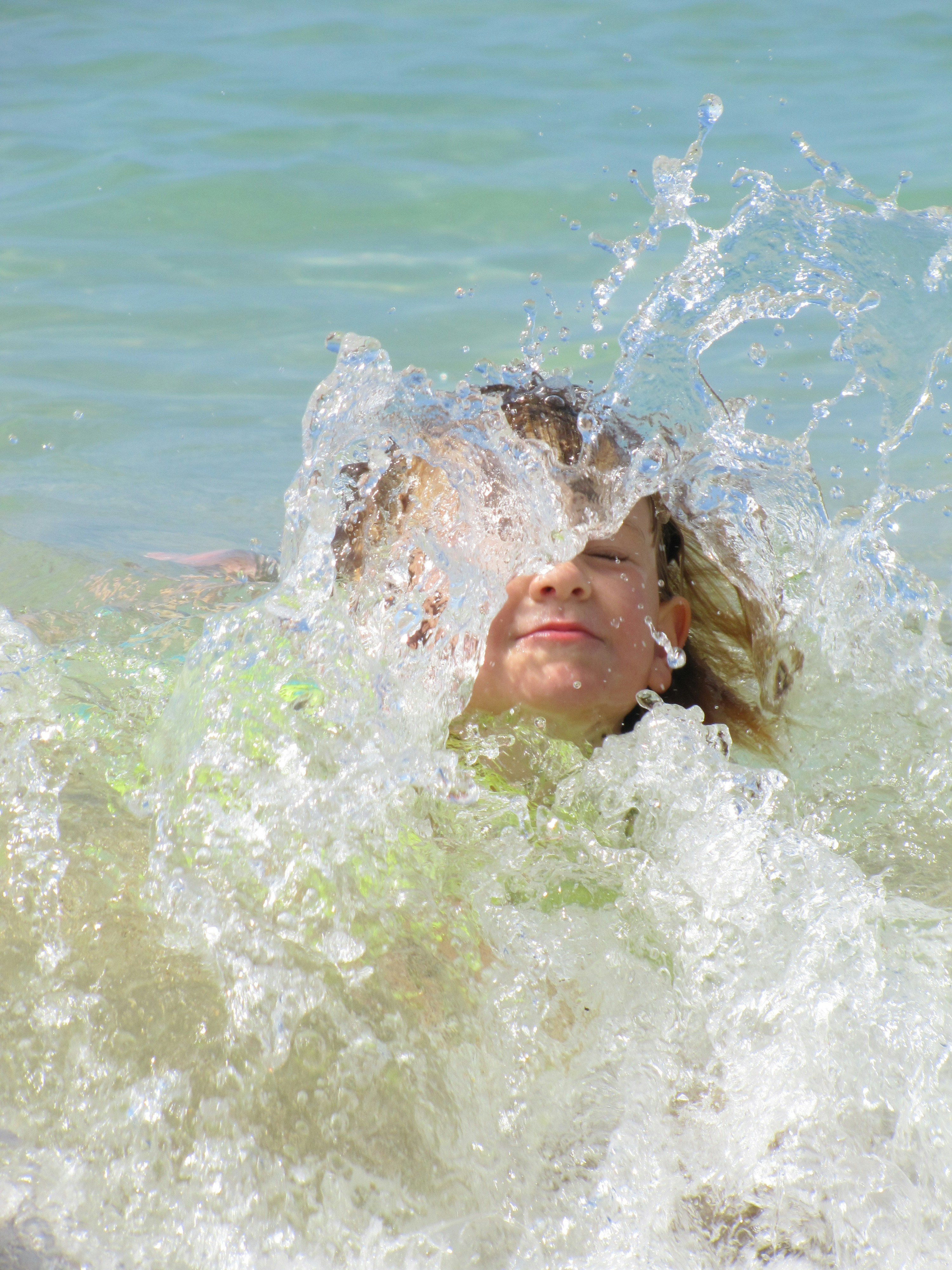 Free Unsplash photo from Steve Cantrell