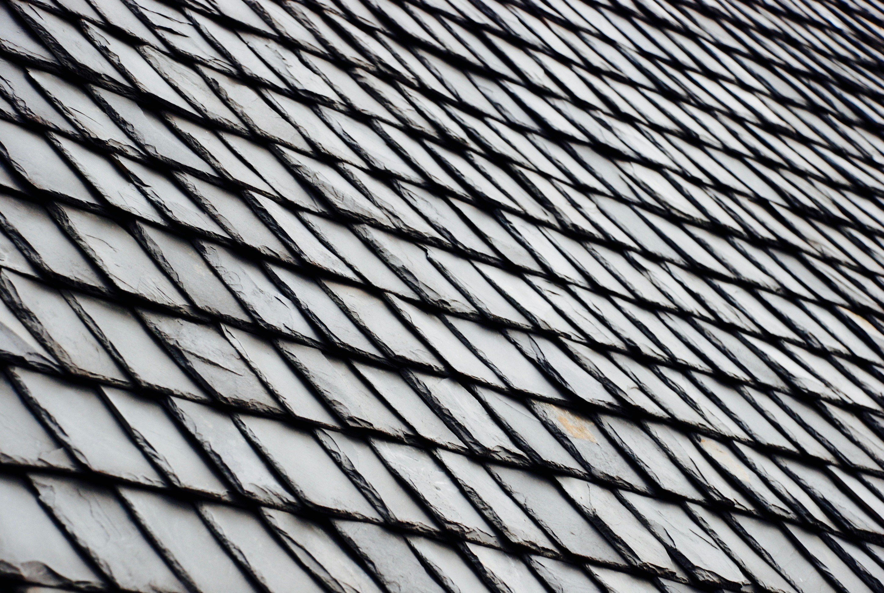 Free Unsplash photo from Peppe Ragusa