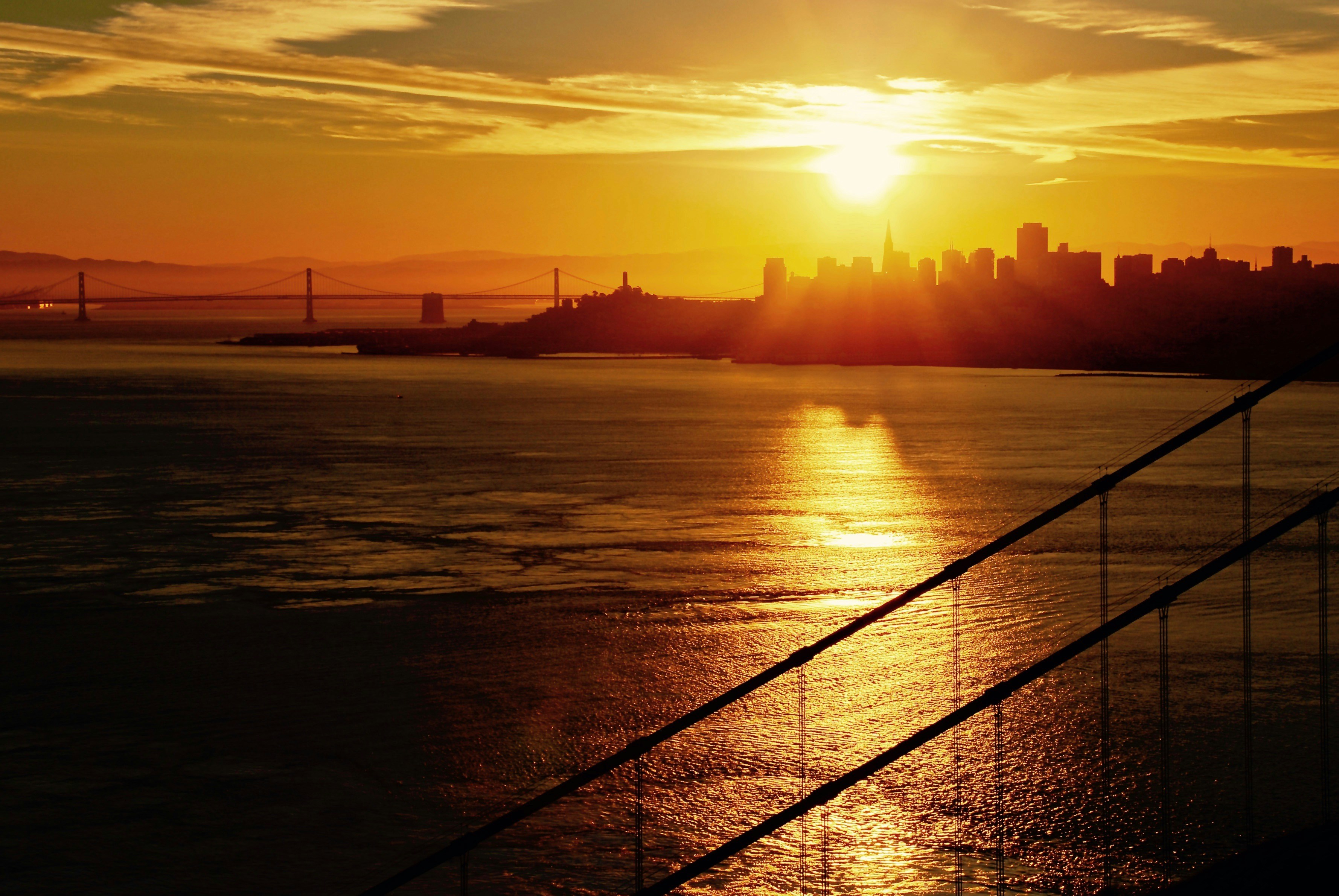 Free Unsplash photo from Peppe Ragusa