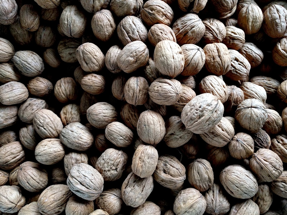 bundle of white seeds