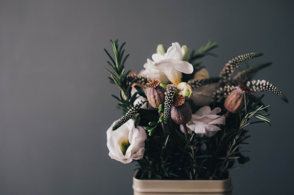 white petal flowers in gray pot in room