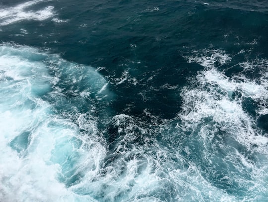 photo of Bronte Ocean near Sydney Harbour National Park