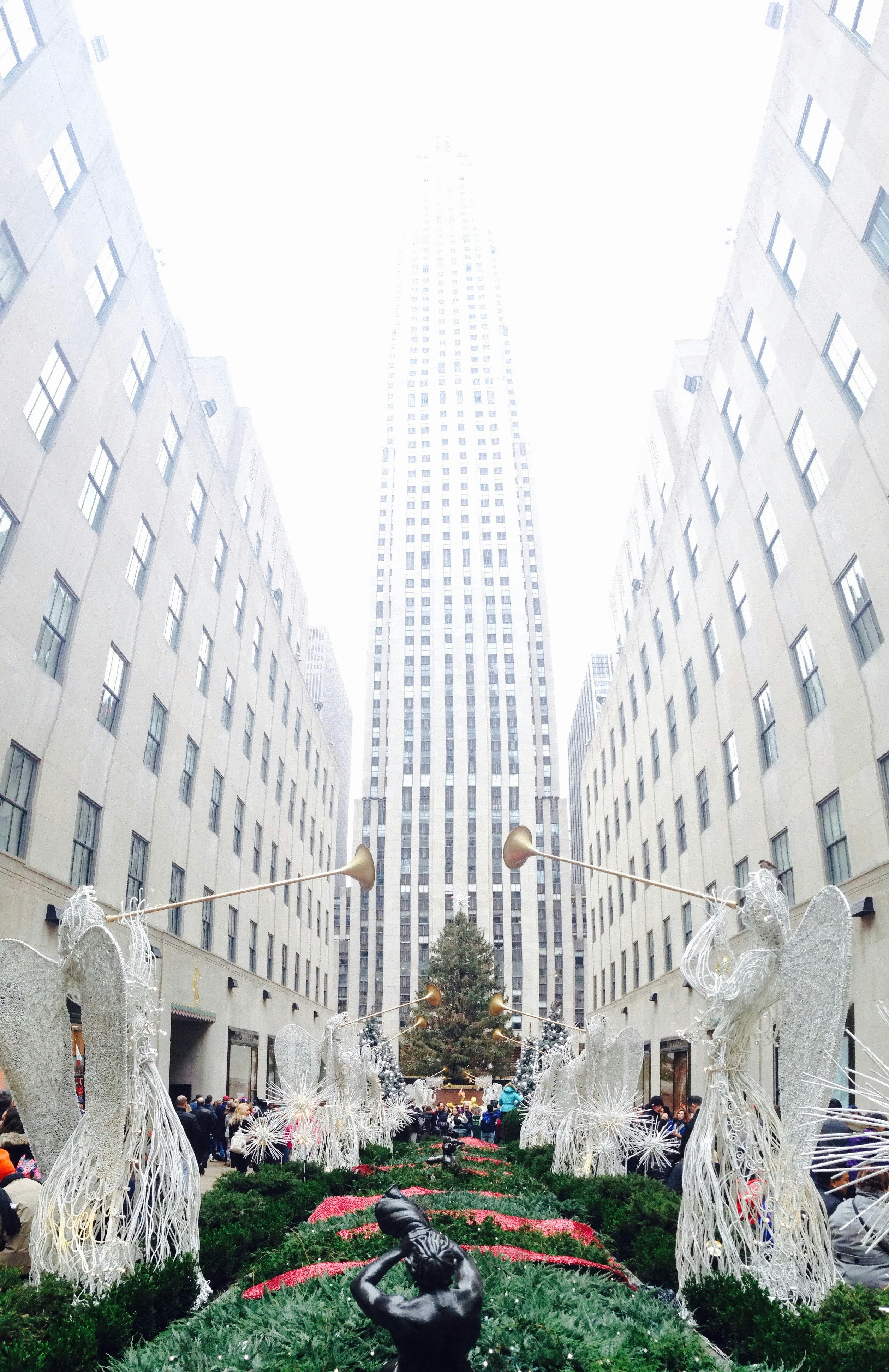 Free Unsplash photo from Andrea Golinucci