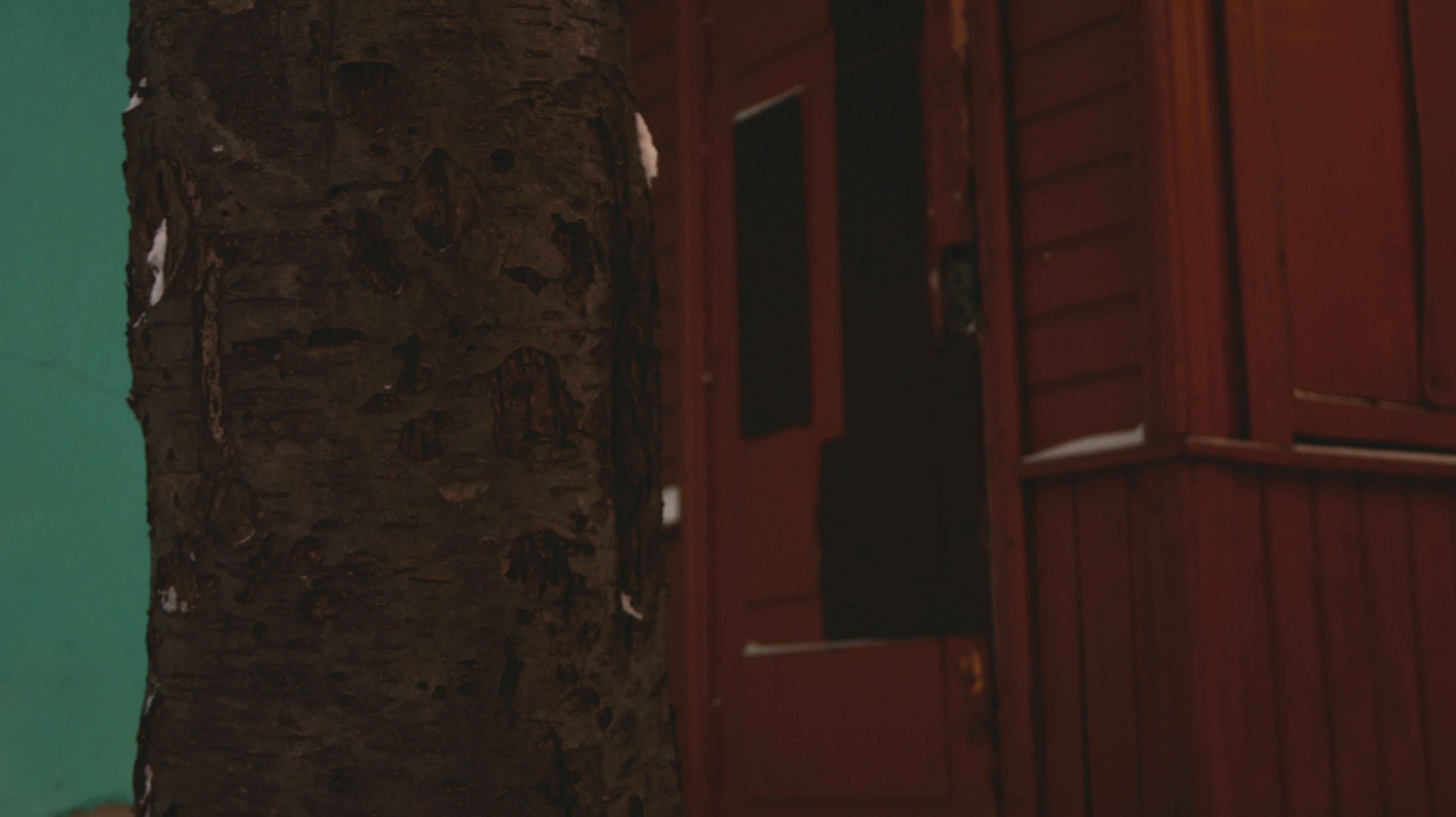 Free Unsplash photo from Evgeny Mandarin