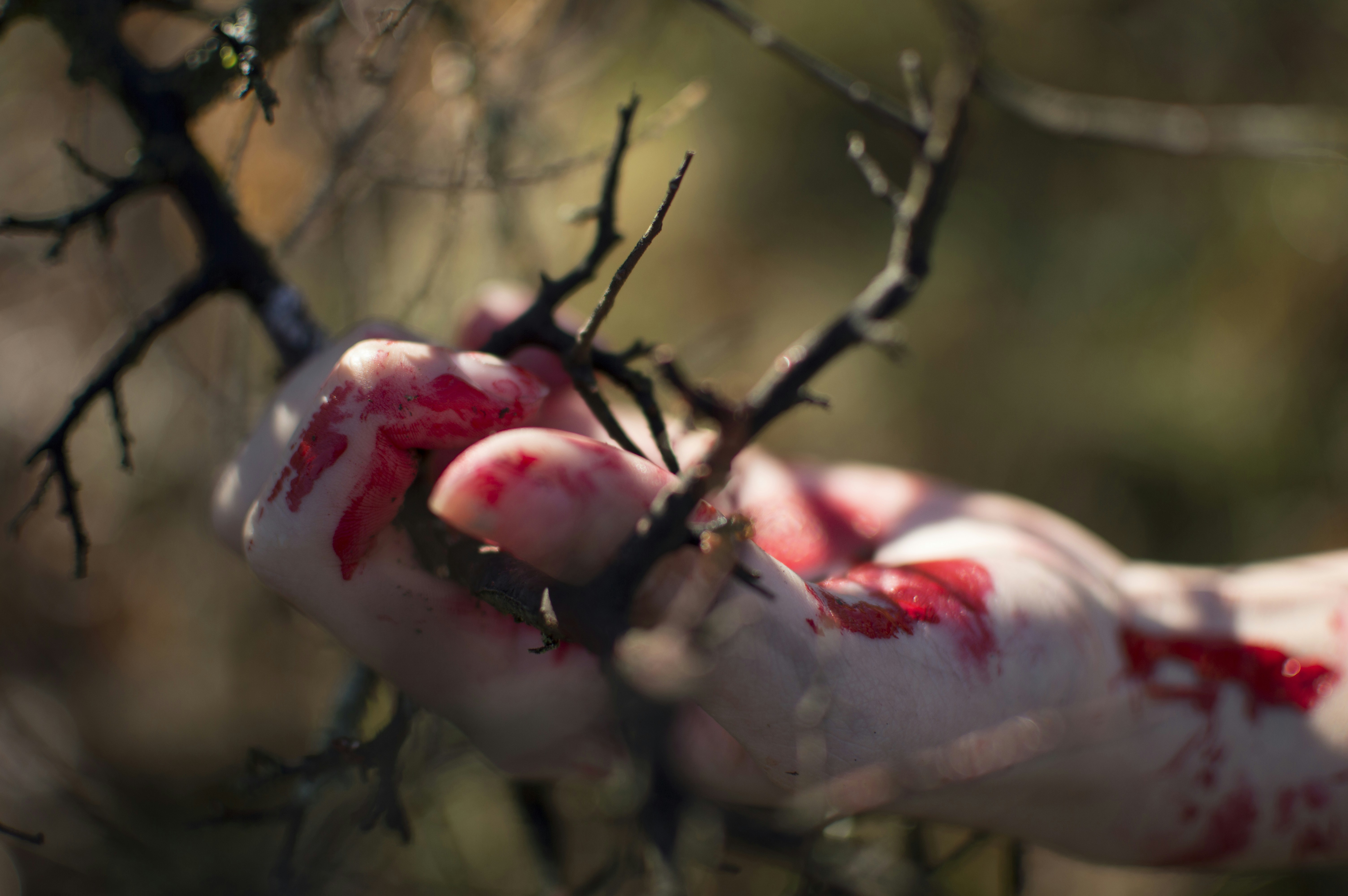 Free Unsplash photo from Luis Gonzalez