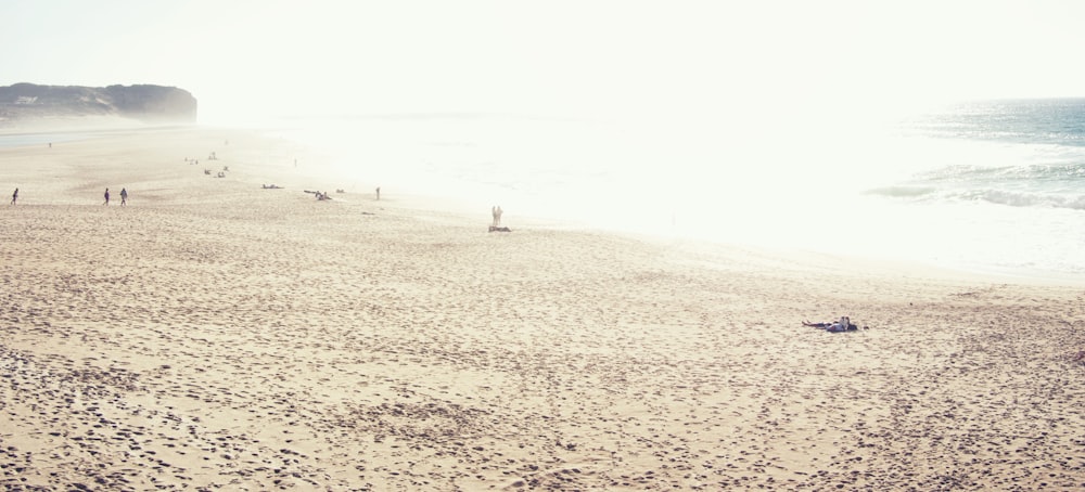 white sand beach photo